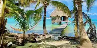 A hut on the beach in Belize with palm trees and a hammock