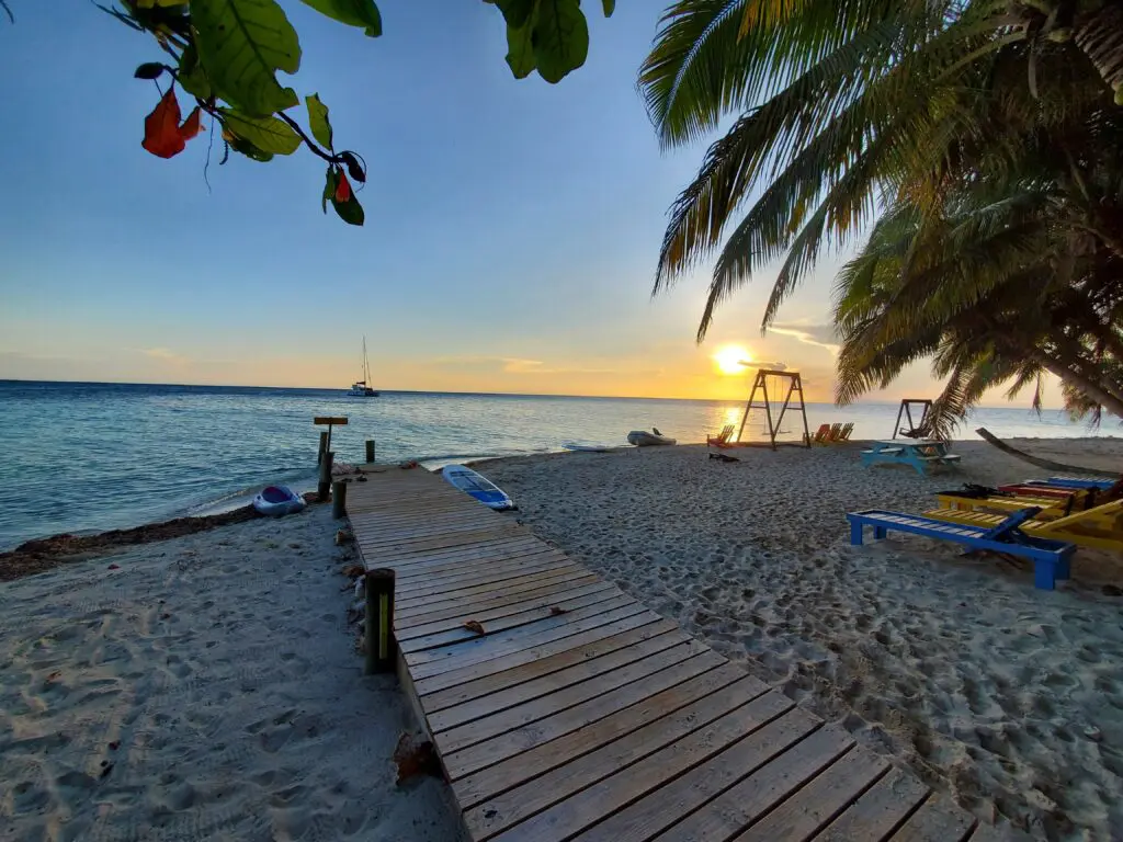A wooden walkway leading to a beach with palm trees on a Belize Sailing Vacation.