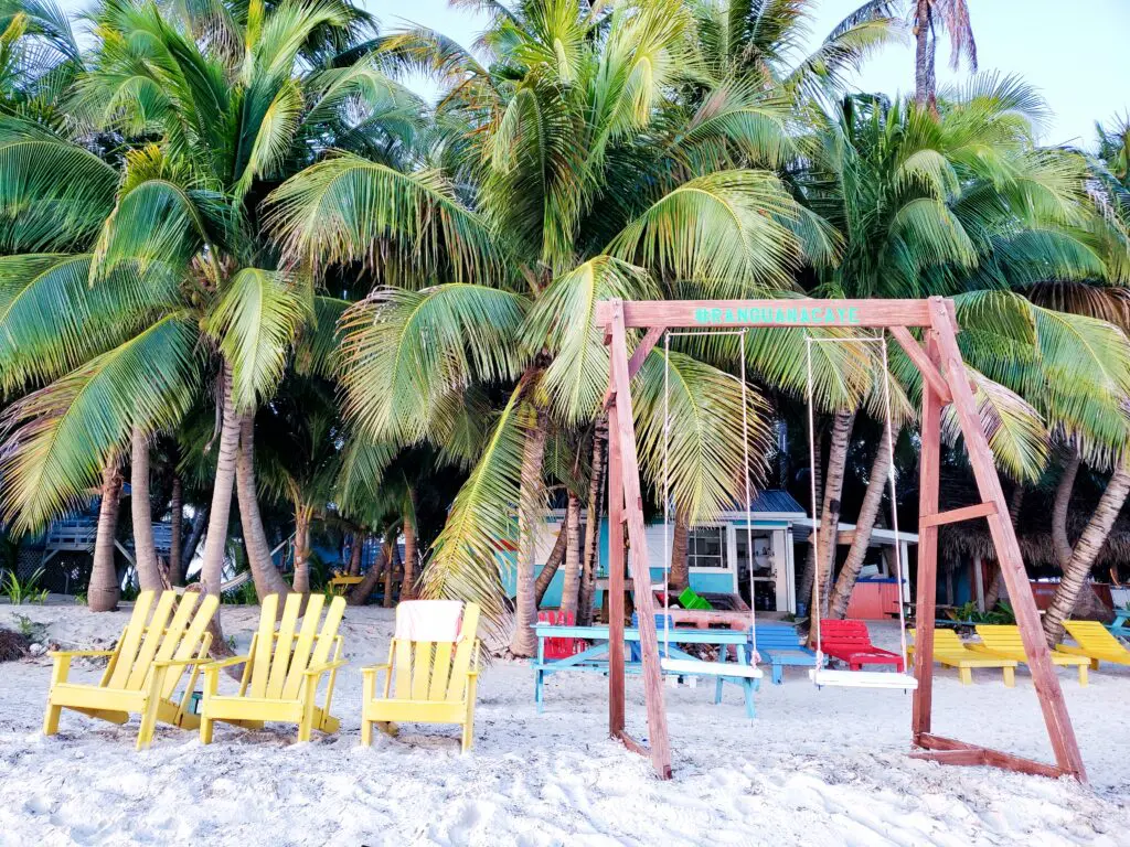 Belize beach with colorful chairs and palm trees, offering amazing sailing vacations and tours.