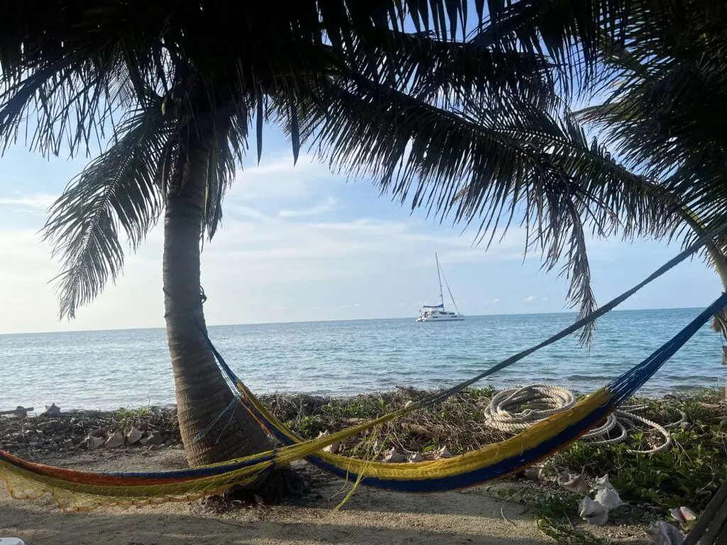 Enjoy a relaxing hammock experience on a picturesque beach, with the breathtaking backdrop of a sailboat gracefully cruising through the waters.