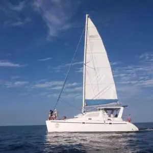 A white catamaran sailing in the ocean, featured in the luxury yacht gallery.