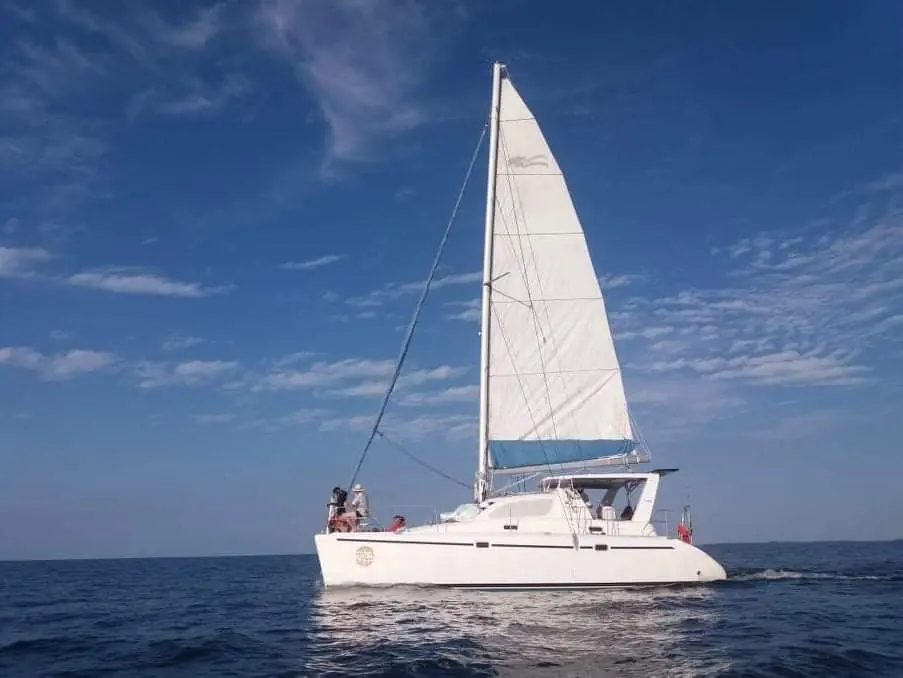 A white catamaran sailing in the ocean, featured in the luxury yacht gallery.